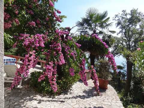 One-Bedroom Apartment in Rijeka V - Rijeka - Croatia