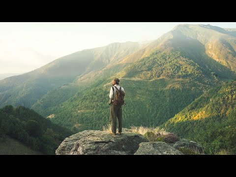 #177 A hike, masonry work, and fully feathered chicks