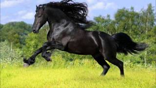 Antonio Aguilar El Corralero