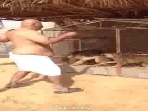 Funny fat man fight to Dogs.