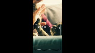 シリウス / 初音ミク #shorts