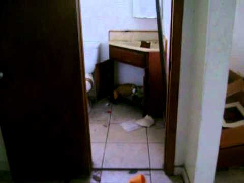 23850 SW 129 ave Homestead