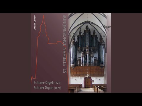 6 Chorale Preludes: No. 4. Erbarm dich mein, o Herre Gott
