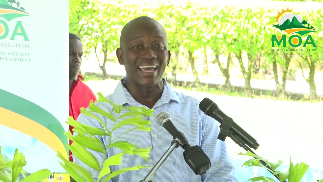 International Day of Forest Ceremony 2025 VNR