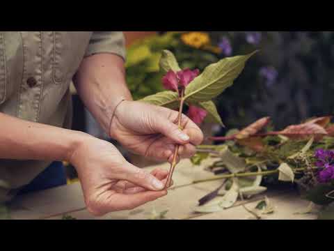 Gartln mit Starkl: Tipp - So kann man die Lebenszeit von Schnittblumen verlängern