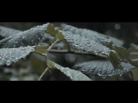 Andrew Applepie & Dario Lessing - In Between (AK Remix)