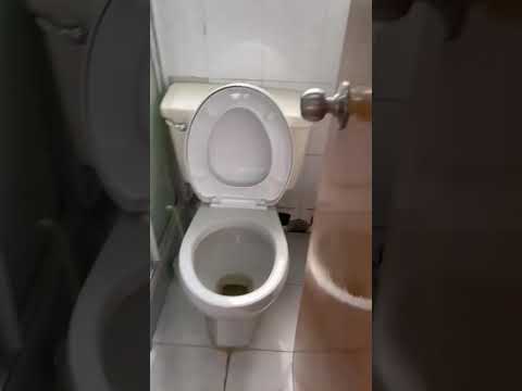 Fung Yue Mansion Youtube Video