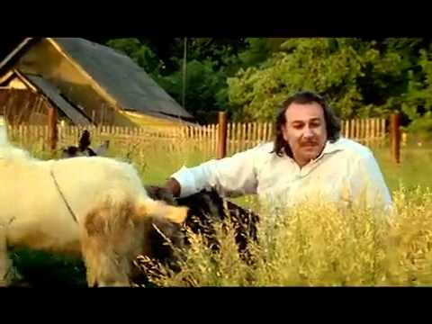 Скачать Новогодние Клипы Курас Скачать Новогодние Клипы Курас