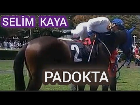 SELİM KAYA     PADOK...     28/07/2019  KOŞU-3