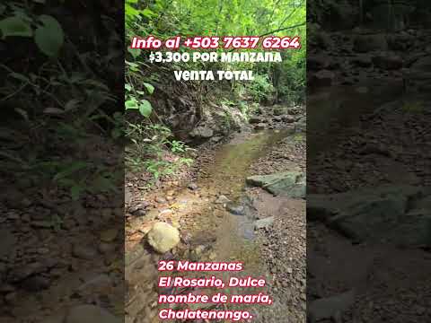 #estadosunidos #viral : se vende 26 manznas en dulce nonbre de maria chalatenango 3,300 por manzana