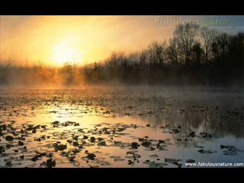 Maha sayure reli godata galanawa..(මහා සයුරේ රැලි ගොඩට ගලනවා)Noyel Raj