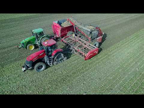 Bernia Family Farms, Inc Sugar Beet Harvest 2016