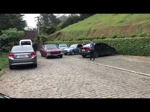 OPALA RAIZ - CASAMENTO DE OPALEIRO - BORRACHÃO  - BURNOUT