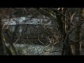 James Yorkston - I Was A Cat From A Book 