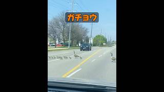 母親の愛はどれほど偉大なものだろうか？ #animals #動物プロダクション #自然 #動物 #癒し