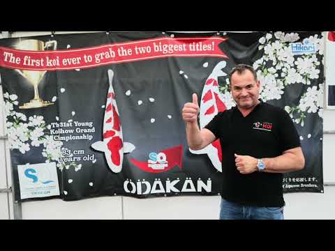 Japanreis Heeschkoi deel 2
