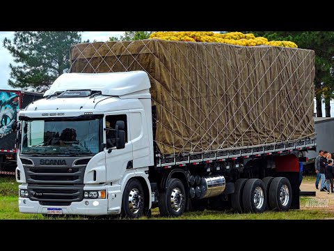 O Bárbaro Maria Rabetão (COM GRAVE) Pancadão Films
