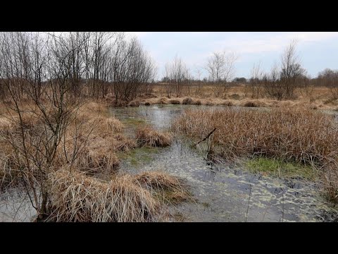 Pieterpad: Etappe 4 van Zuidlaren naar Rolde