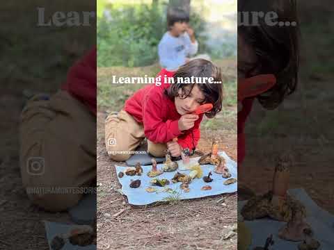 Vídeo Colegio Natura Montessori School