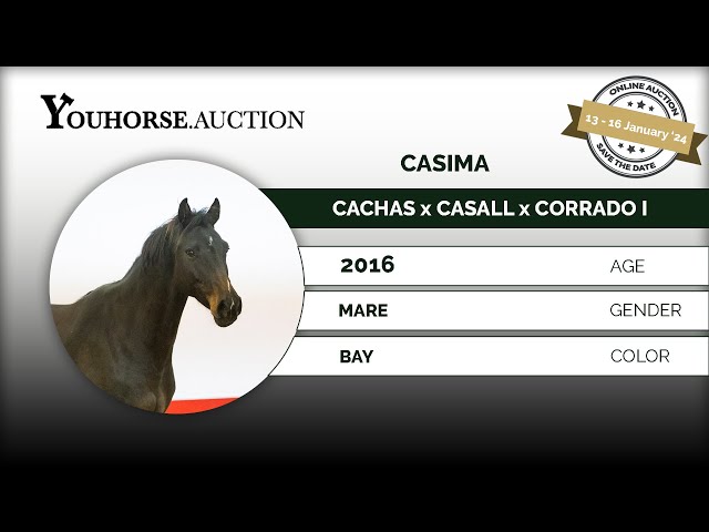 Casima