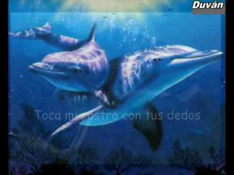 CALMA ESTA INQUIETUD - Binomio de Oro de America