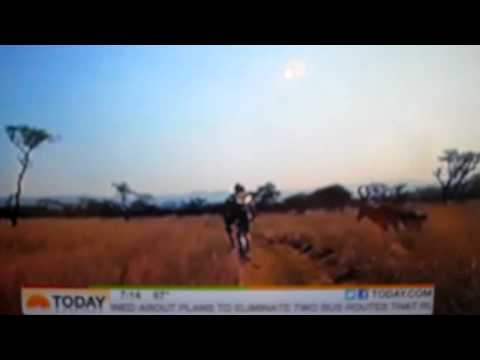 mountain biker hit by buck (original)