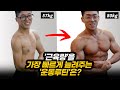 초보자의 '근육량'을 가장 빠르게 늘려주는 '운동 루틴'은!?