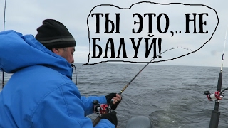 Ссылка