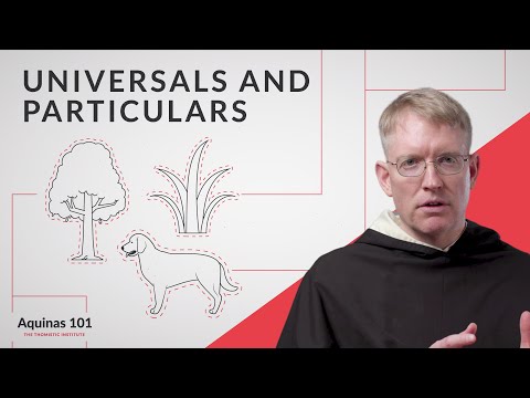 Universals and Particulars, Genus and Species (Aquinas 101)
