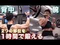 【筋トレ初心者】1時間で背中、腕を鍛えるメニューと流れ