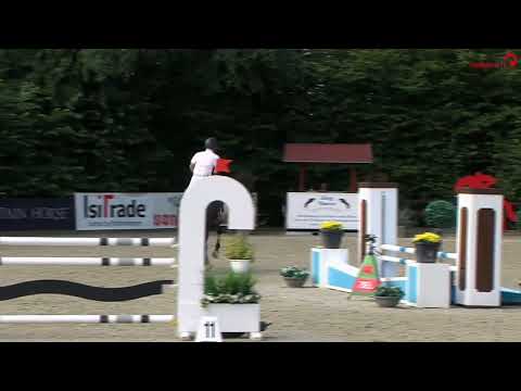 PF's Christer * Fully Licensed Holsteiner Stallion.