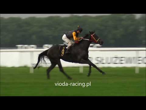 Gon. VII - 26.05.2018 - Kohinoor Diamond (Excelebration - Gems of Araby)