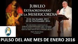 Pulso del ANE Enero 2016
