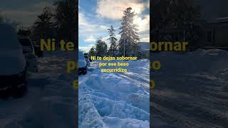 Pingüinos en la Cama… #ricardoarjona #arjona #minneapolis #minnesota #winter