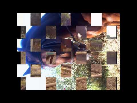 centre equestre caroubier souvenirs