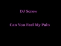 DJ Screw - Can You Feel My Pain