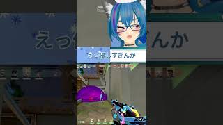 ぽんたのヴァロはいつもうるさい