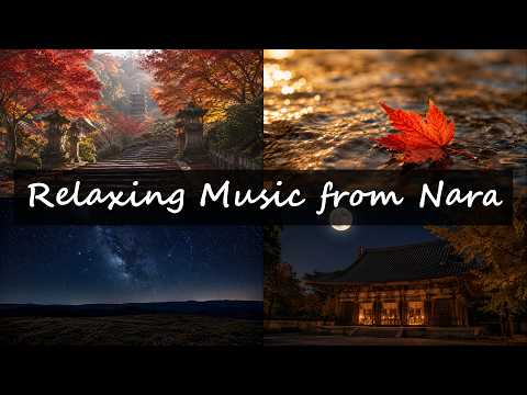 Sounds of the Journey — Nara in Autumn Vol.2 | 2h 30min Album | Nara ambient BGM