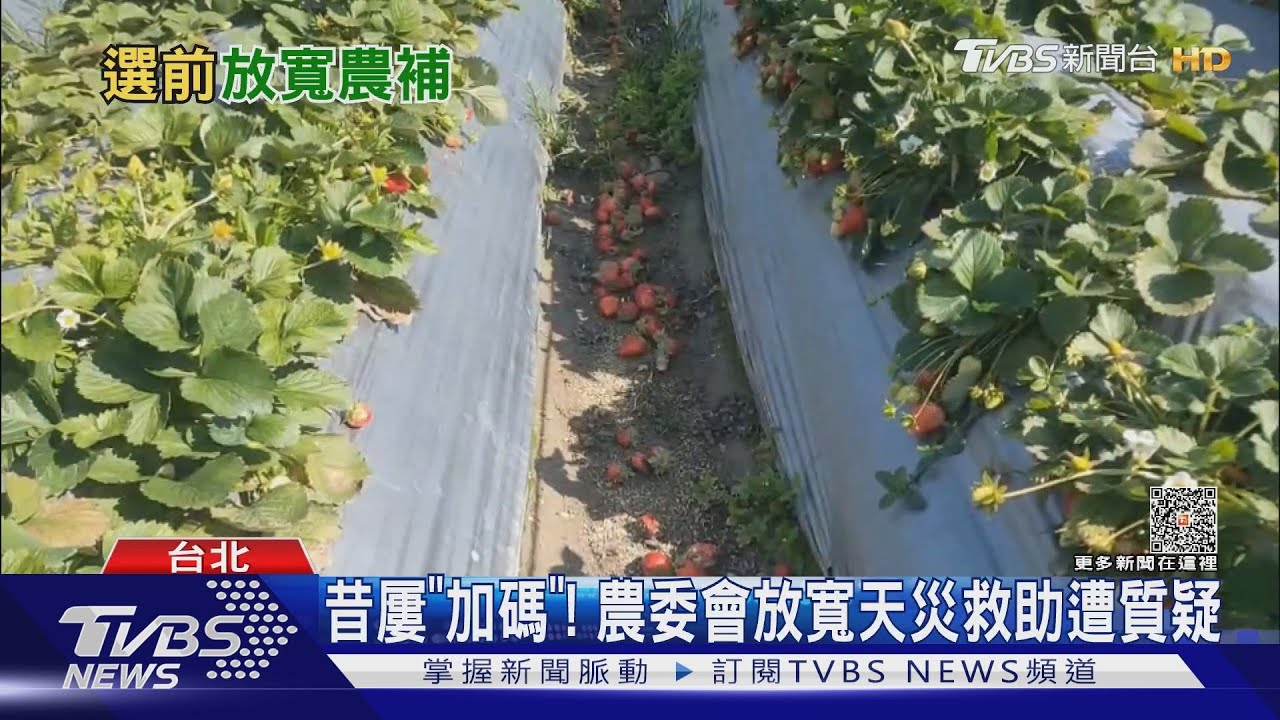 選前加碼? 農委會天災救助擬納水塘、農路