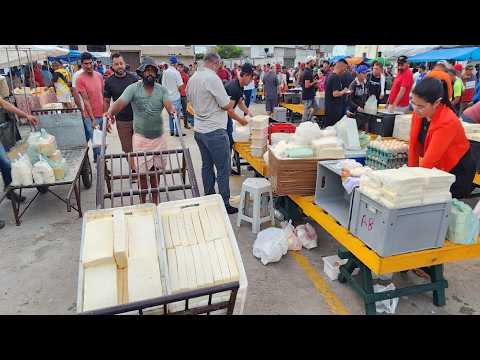 QUEIJO COM PREÇO EM BAIXA NA FEIRA EM CACHOEIRINHA-PE.