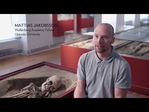 Where do the Scandinavians come from?