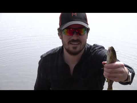 Langtjønna i Klæbu