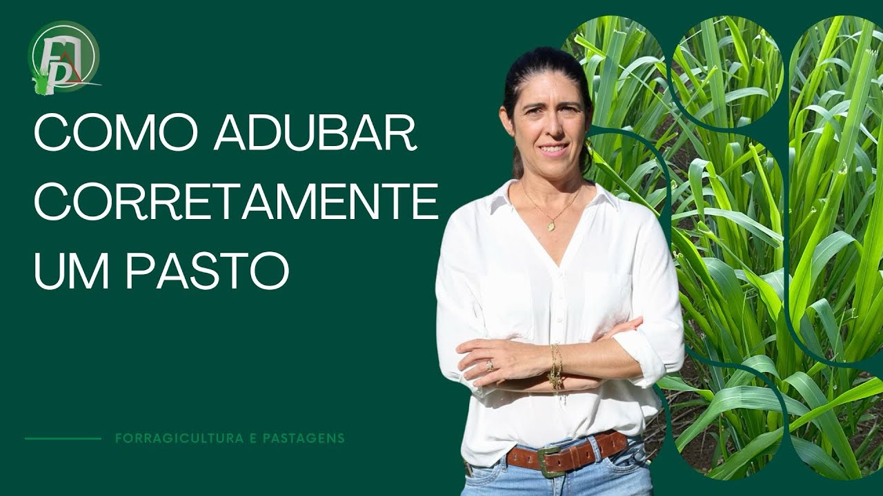 COMO ADUBAR CORRETAMENTE SEU PASTO #pastagem #pecuaria #fazenda