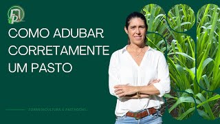 COMO ADUBAR CORRETAMENTE SEU PASTO #pastagem #pecuaria #fazenda
