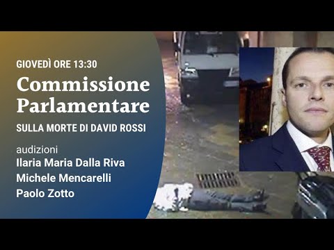 Commissione parlamentare David Rossi - Maria Dalla Riva, Michele Mencarelli e Paolo Zotto