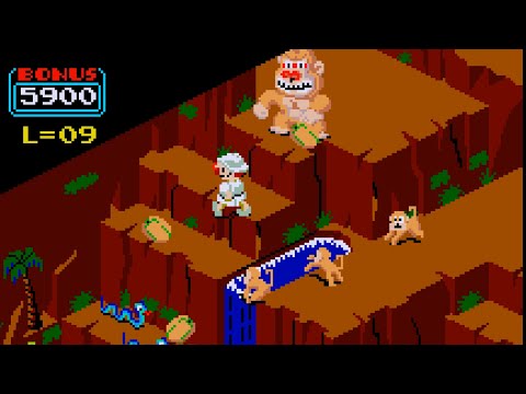 Congo Bongo (Arcade)