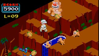 Congo Bongo (Arcade)