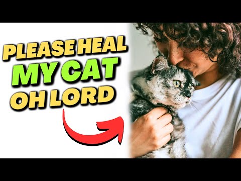 Miracle Prayer for Your Sick Cat | Healing Prayer for Animals