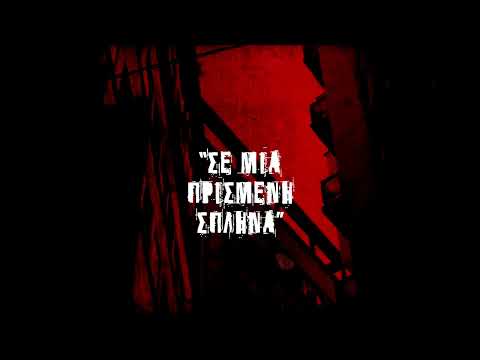 Kooz x 84 - Συστάσεις