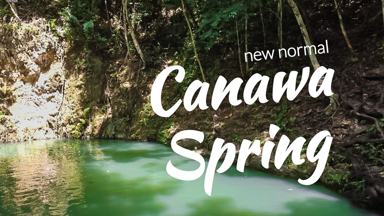 A group of travelers explore Canawa Cold Spring.